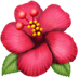 :hibiscus: