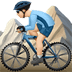 man_mountain_biking:t2