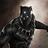 BlackpantherWF