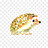 little_hedgehog