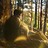 Nadeem Nadeem