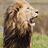 simba92 simba92